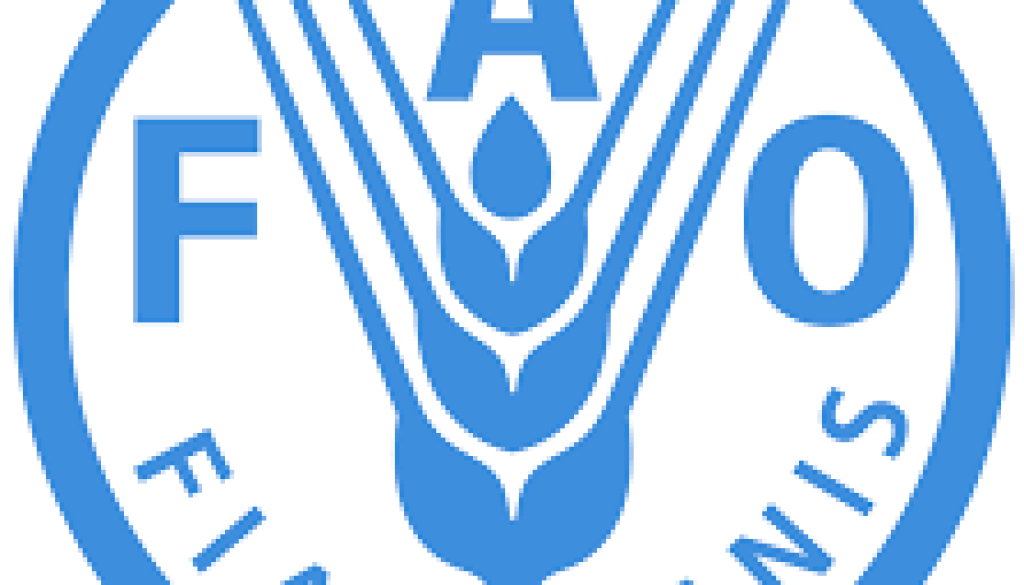Young Professional Officer (Post Production Food Systems, Food Loss & Waste)Vacancy-Job Ref:ACTHFAO/1111/202178