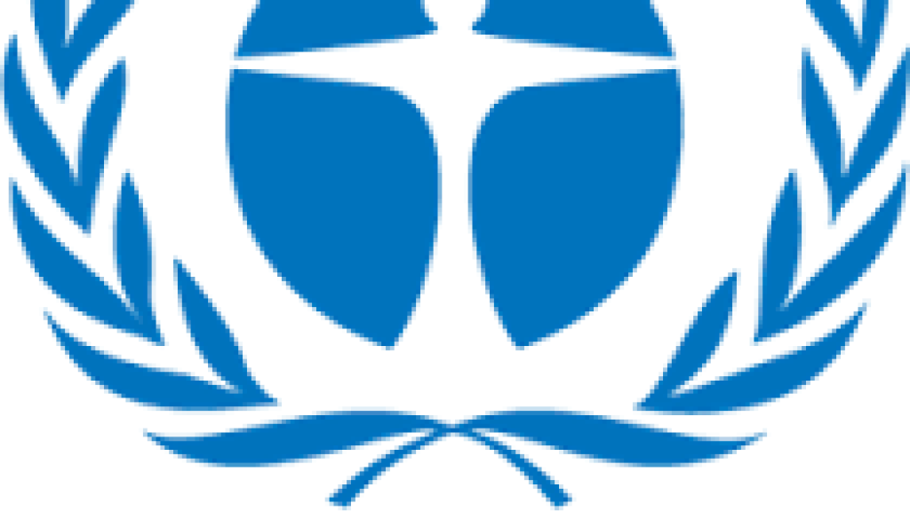 Communications/Multimedia Consultant Vacancy-Job Ref:ACTHUNEP/1111/202181